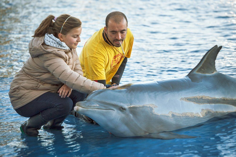 Близкий контакт