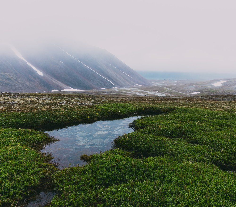 Кристальная чистота
