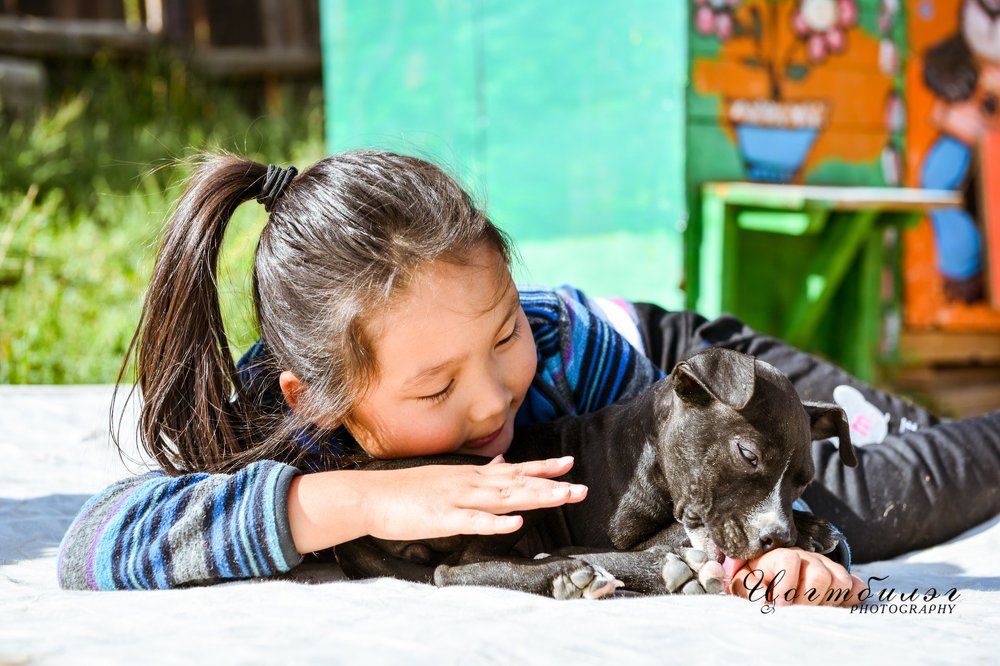 lucky dog mongolia