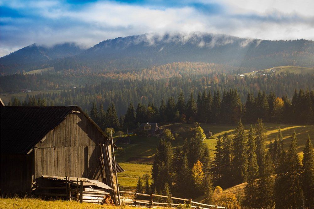 c a r p a t h i a n s