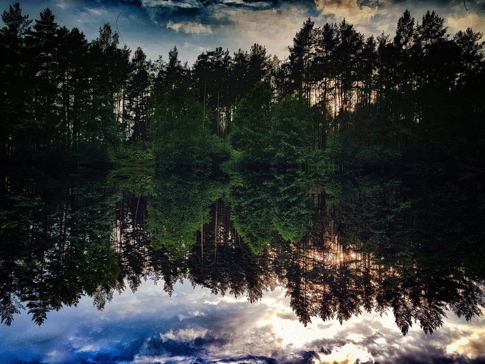 Nature mirror