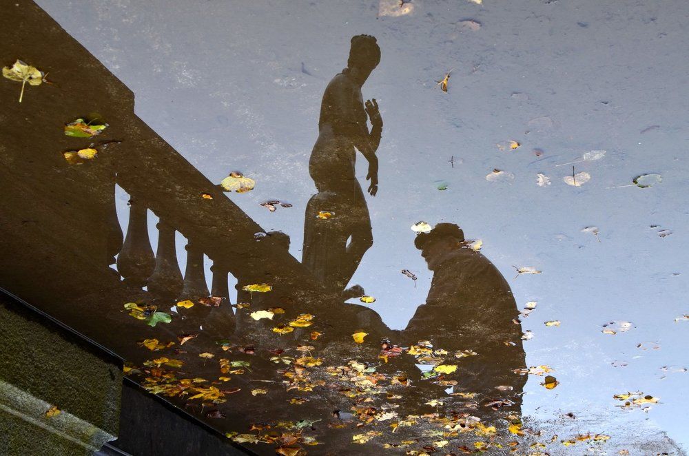 Встреча в зазеркалье