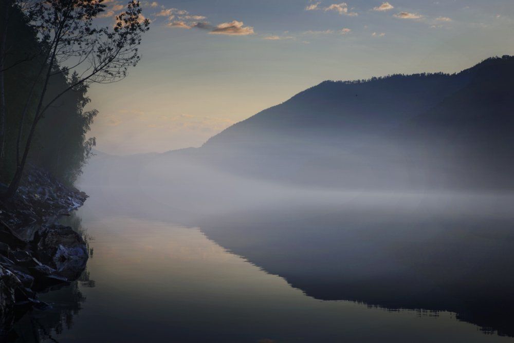 туман на рассвете