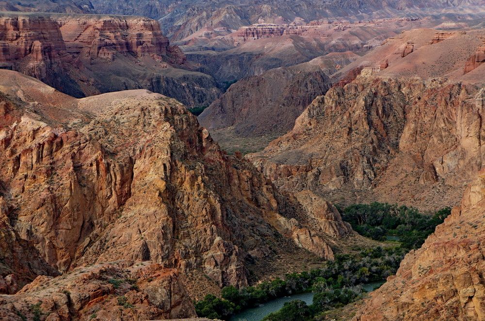 зигзаги Чарына