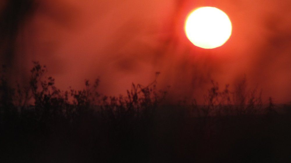 Photo #1911972