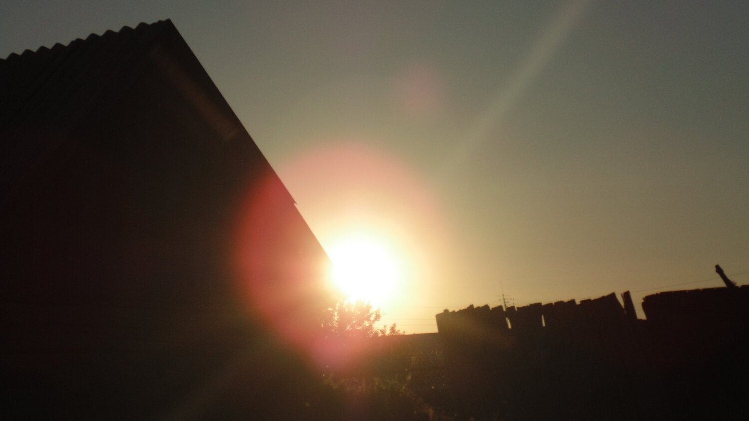 Photo #1911982