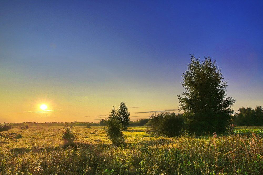 Деревенское утро...