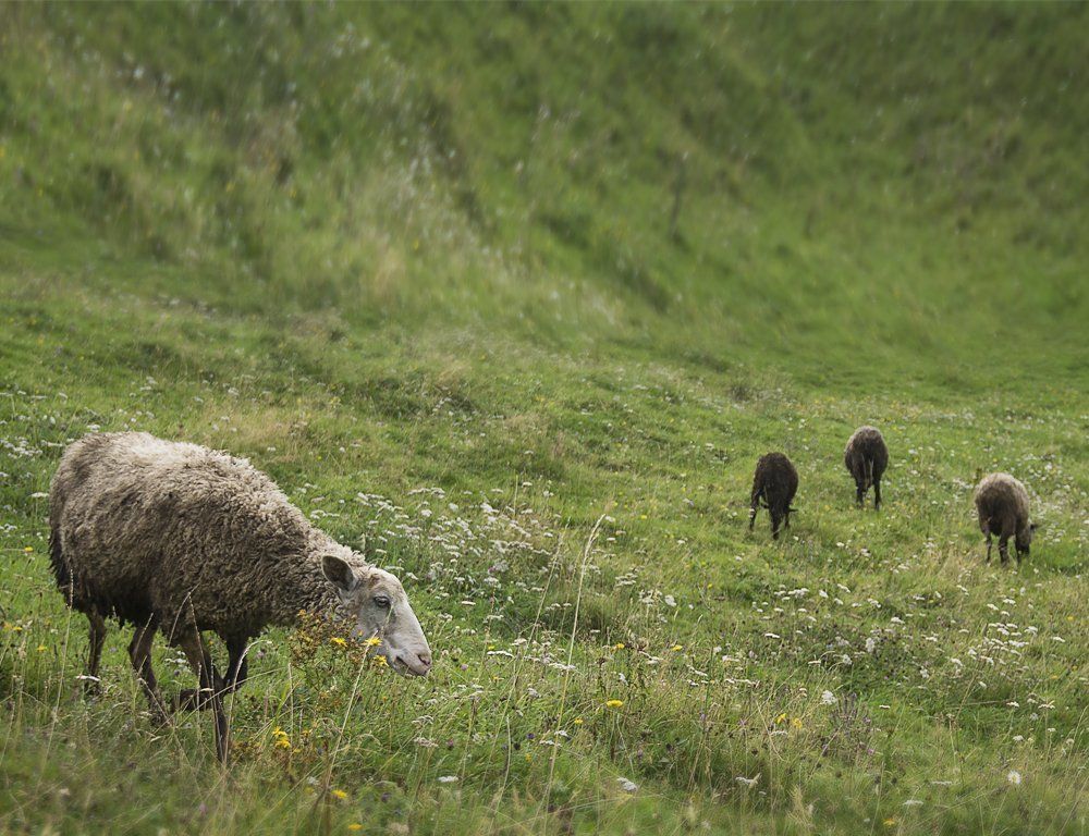 Лето кончается...