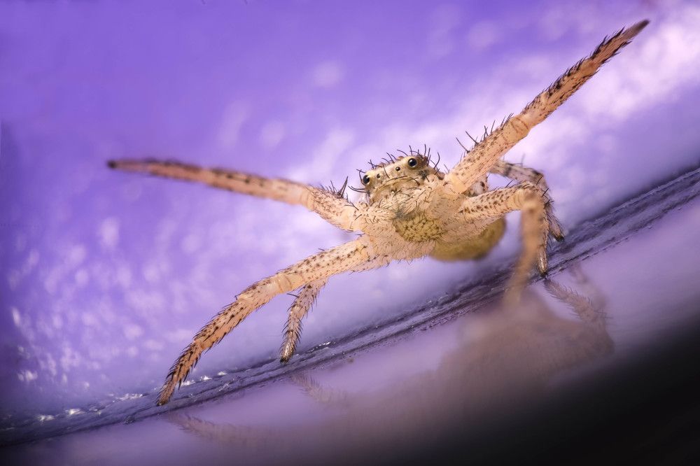 Защитная стойка