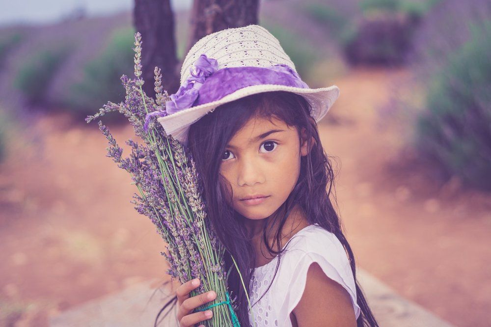The Girl in Lavender Farm