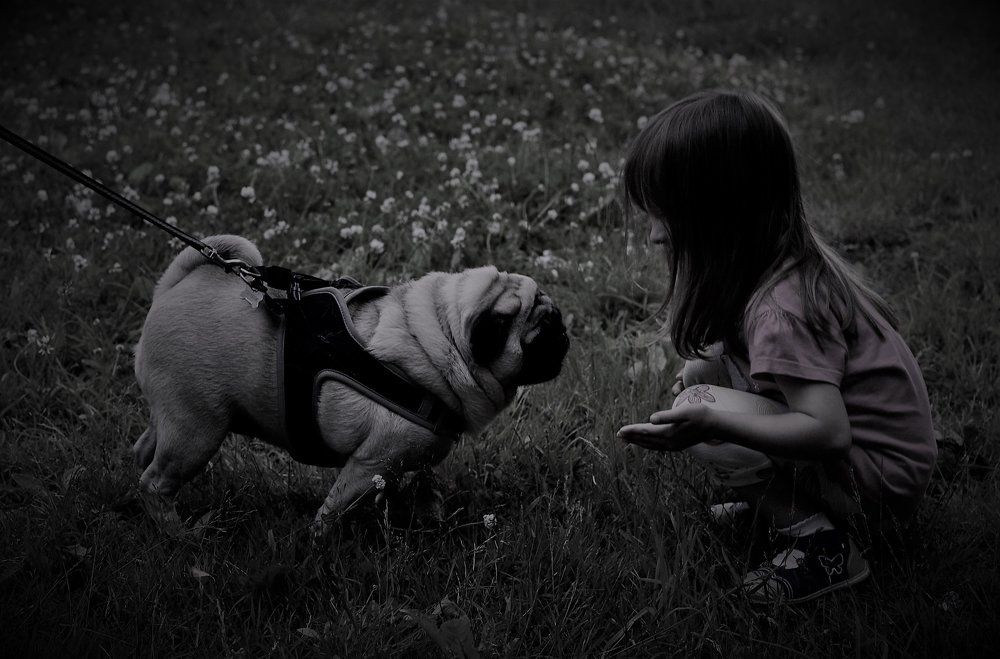 Photograph by Надежда Буаллаг