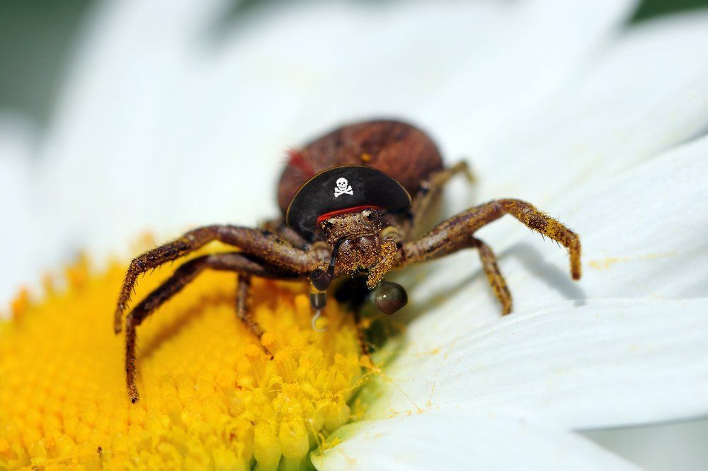 Такой маленький, а туда же...