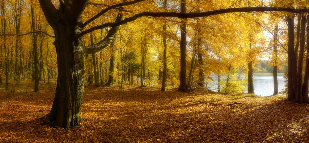 краски октября