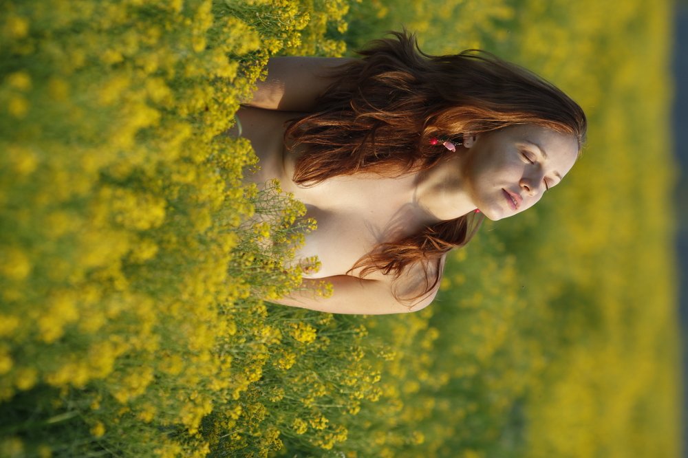 Опять в рапсе