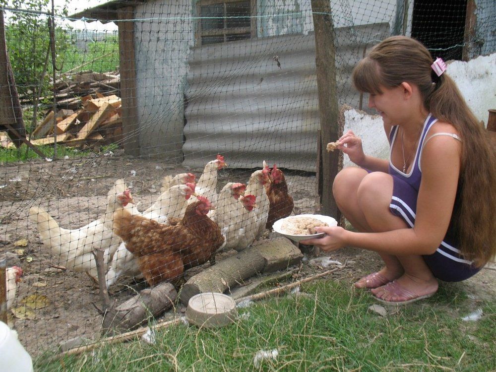 клюв-то острый!