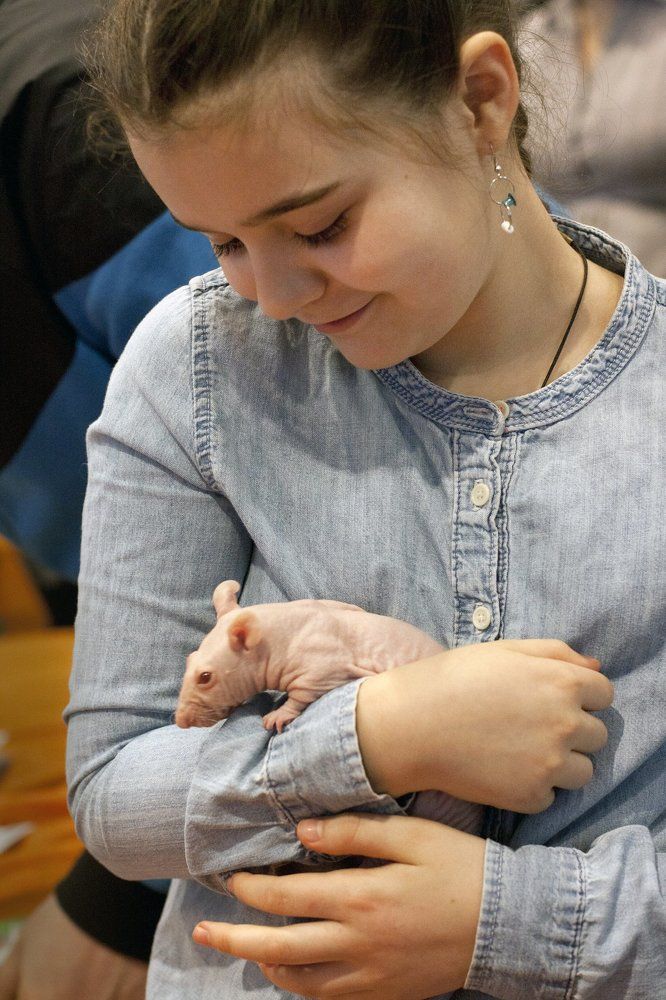 красота в глазах смотрящего