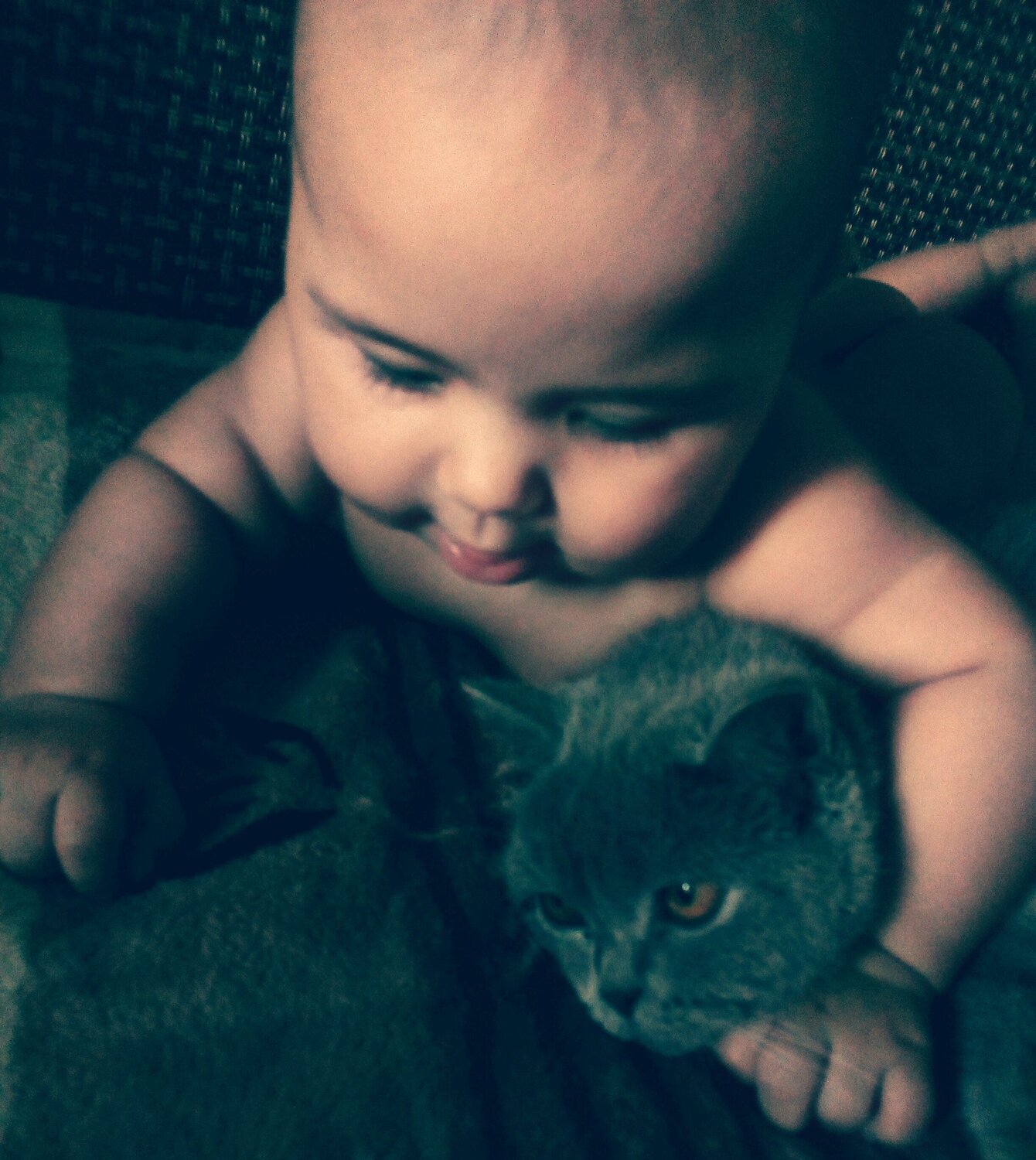 Photo #1912456