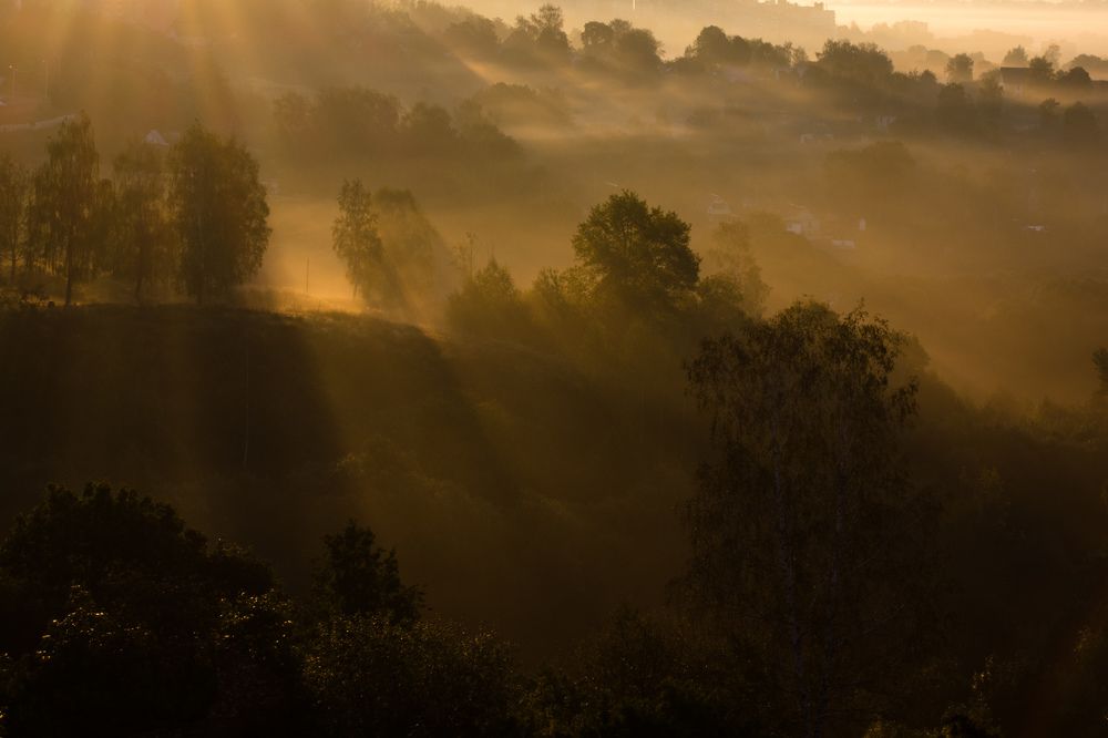 Начинался новый день