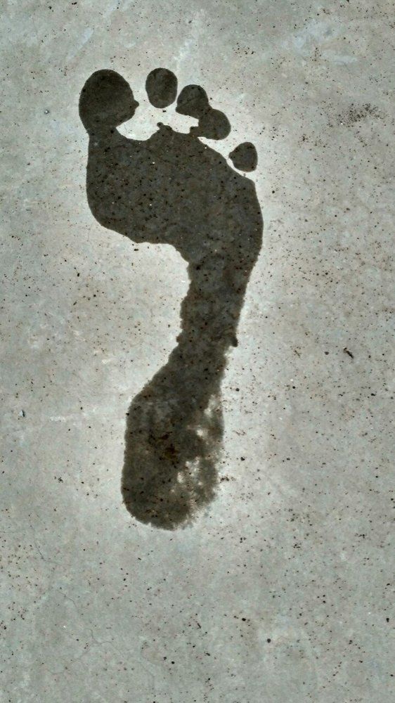footprint