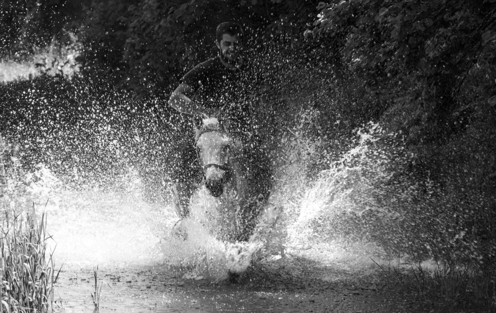 The Horseman