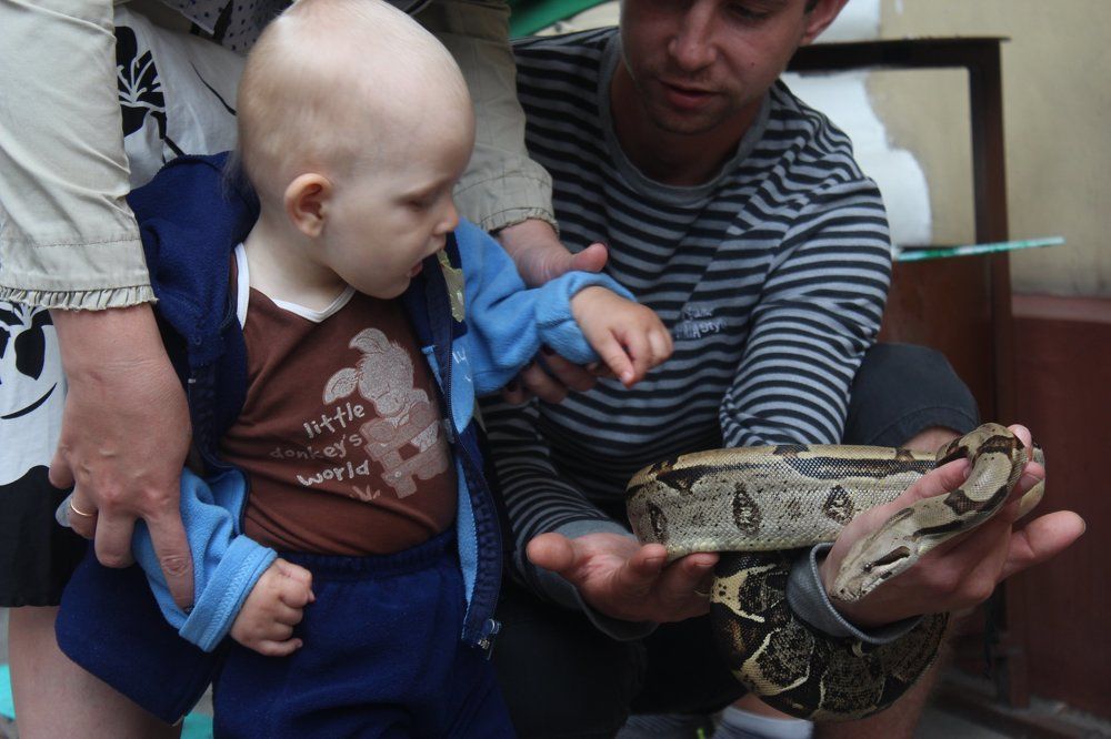 любопытство