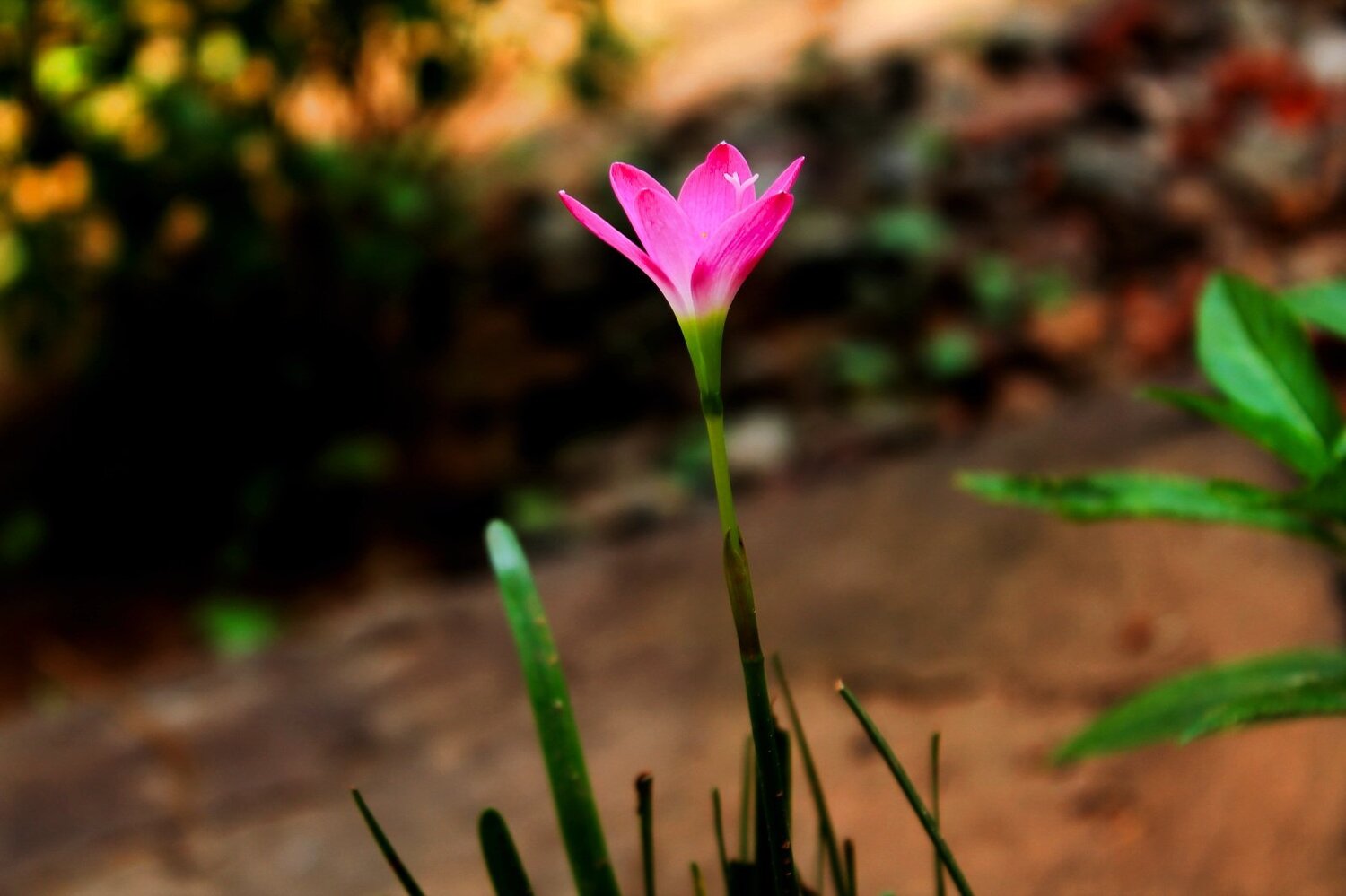 Enjoy the freshness