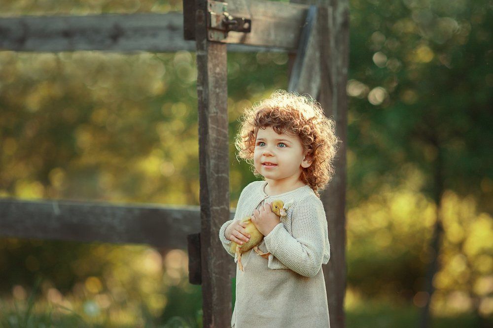 Утиные истории