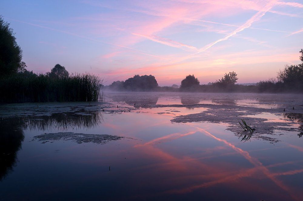 Начинается день...