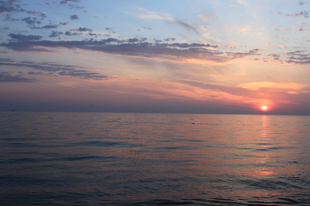 Фотография автора Алина