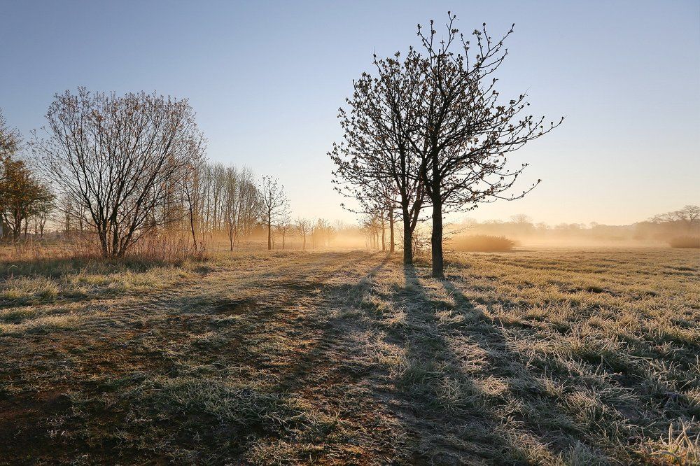 утро в Минске