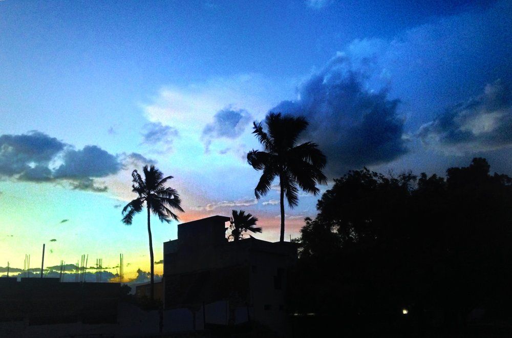Silhouettes by the sunset