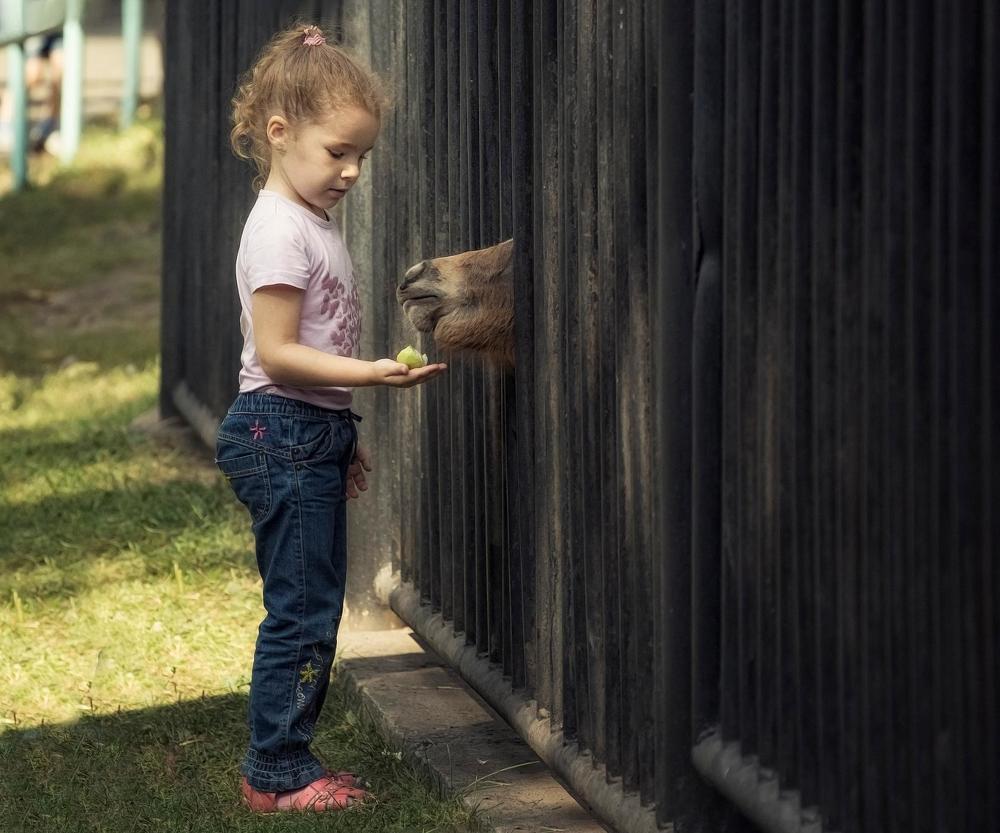 Я к тебе в гости с подарками...