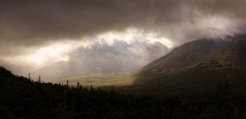 Долина ручья Петрелиуса