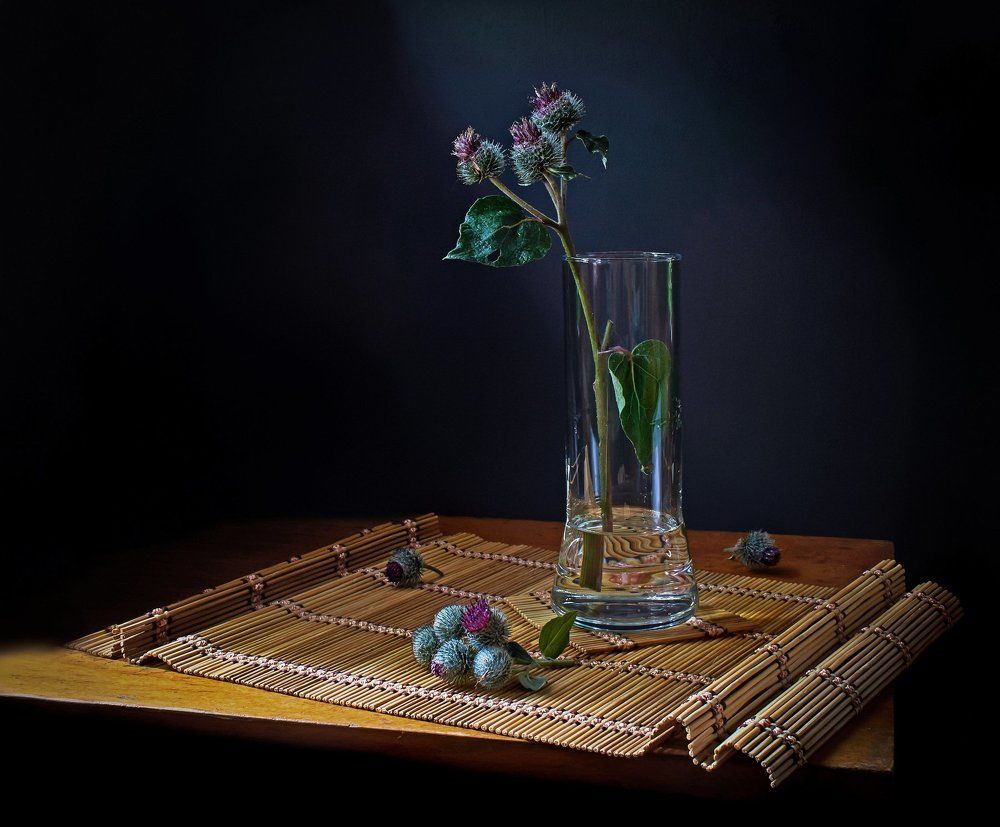 "натюрморт с колючкой"