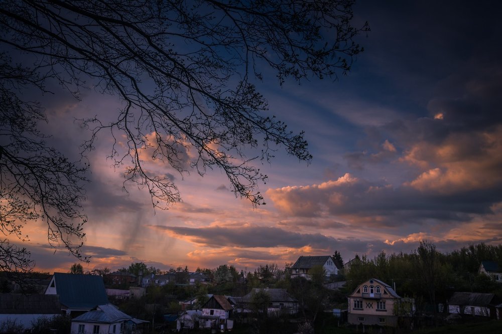 Закат под ветками