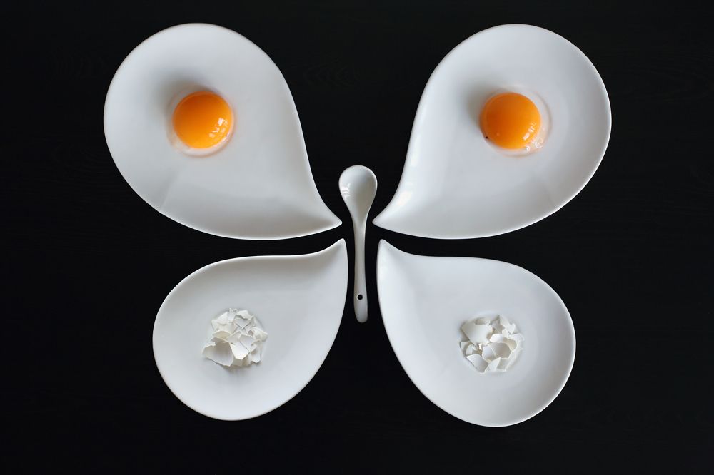 Завтрак энтомолога