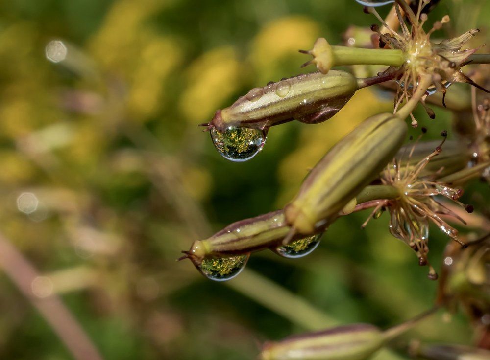 После дождя
