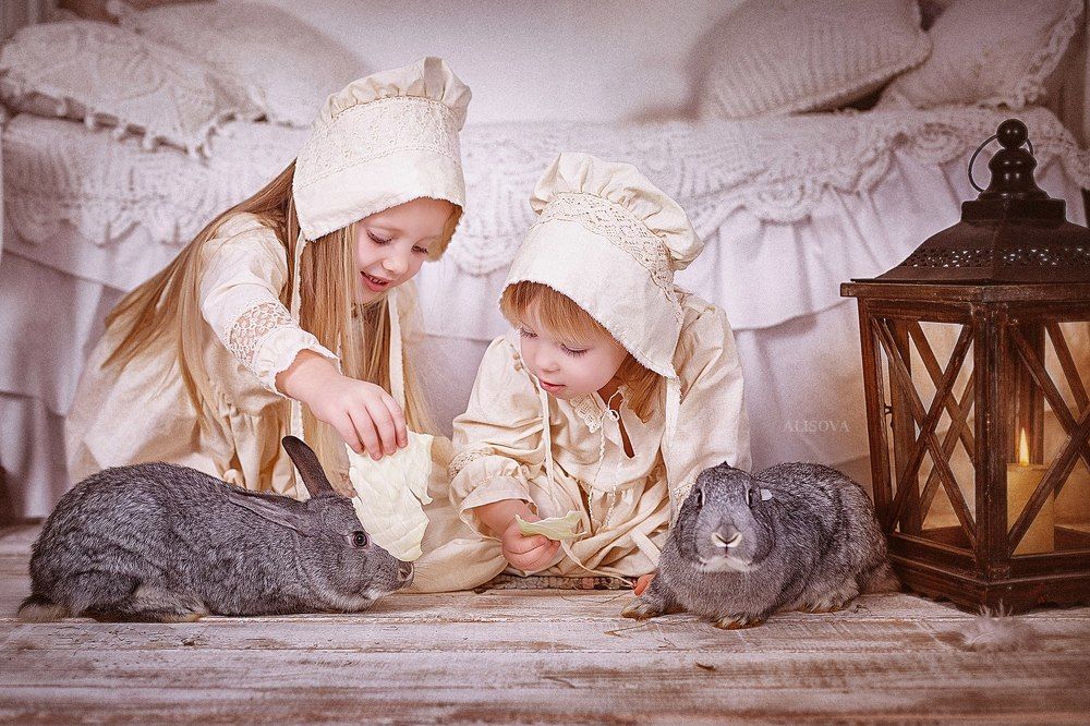 Волшебный сон