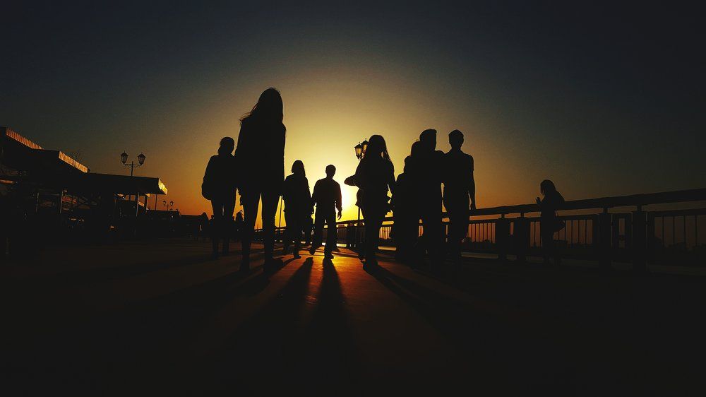 Game of shadows