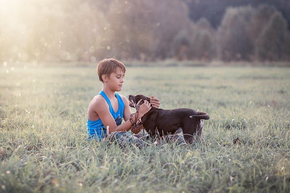 Верные друзья