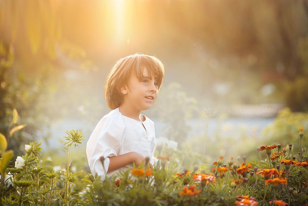 Вечер на даче