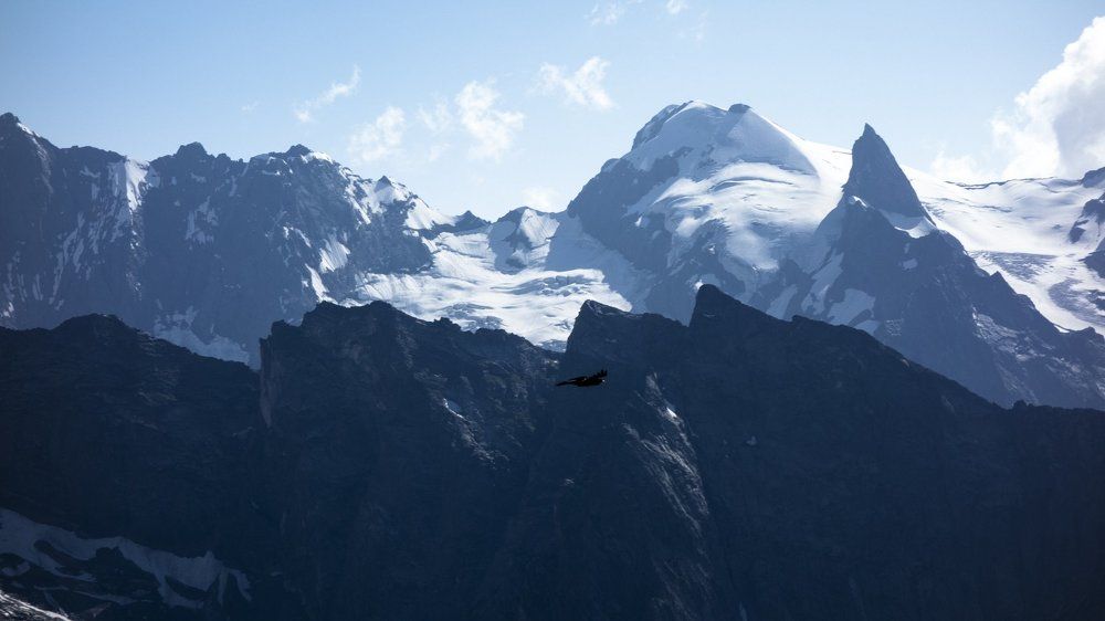 Одинокий полёт