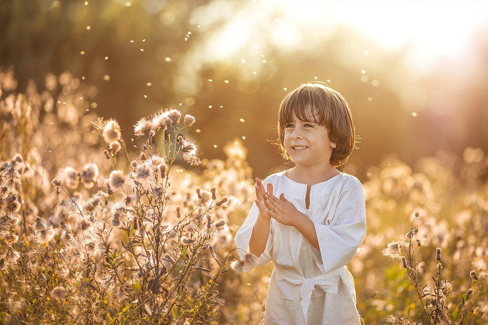 Запах уходящего лета
