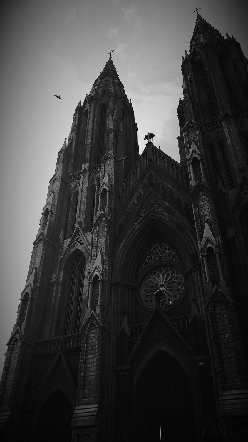 Photo #1913858