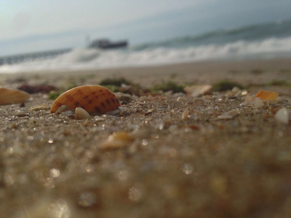 Photograph by Кирилл