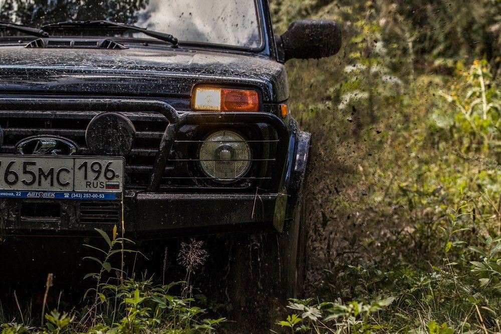 Photograph by Димтрий