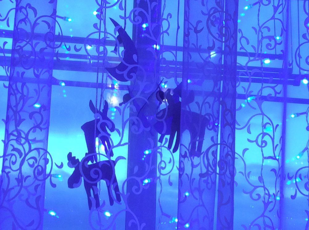 в ожидании Нового года