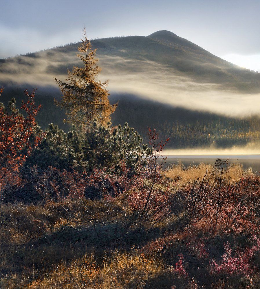 Туманное утро на озере Джека Лондона.