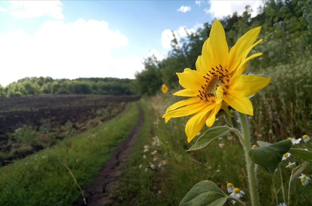 Photograph by Живулин Илья