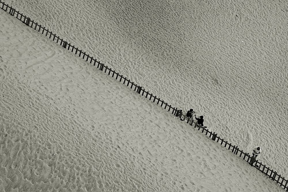 Both sides of the fence.